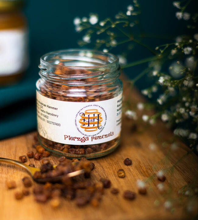 Pierzga pszczela (chleb pszczeli)