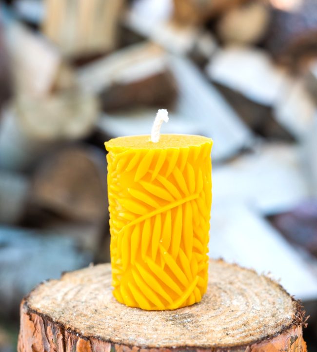 Świeca woskowa Liść paproci